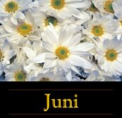 Juni 2000